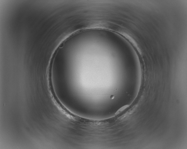 X0000074290949200608251341