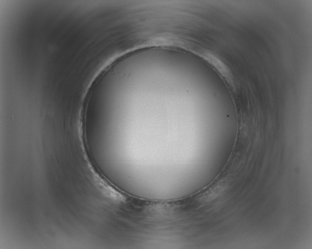 X0000074290950200608251341