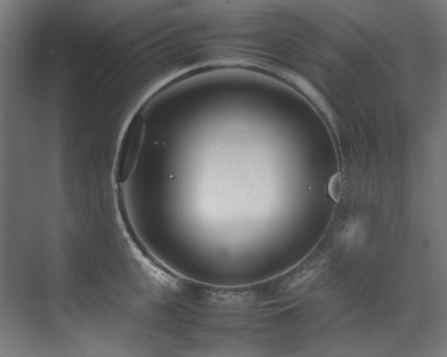 X0000074290951200608251341