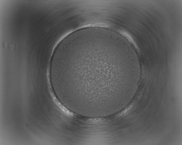 X0000074290952200608251341