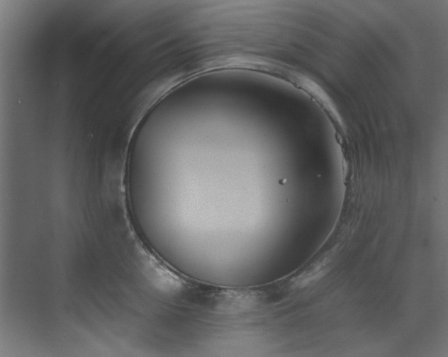 X0000074290954200608251341