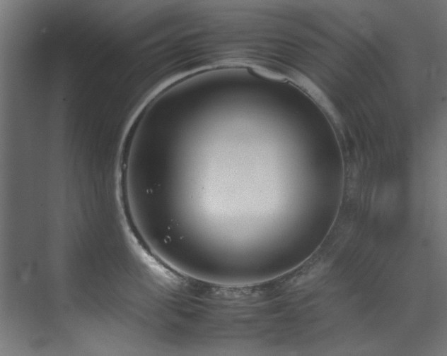 X0000074290955200608251341