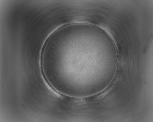 X0000074290957200608251341