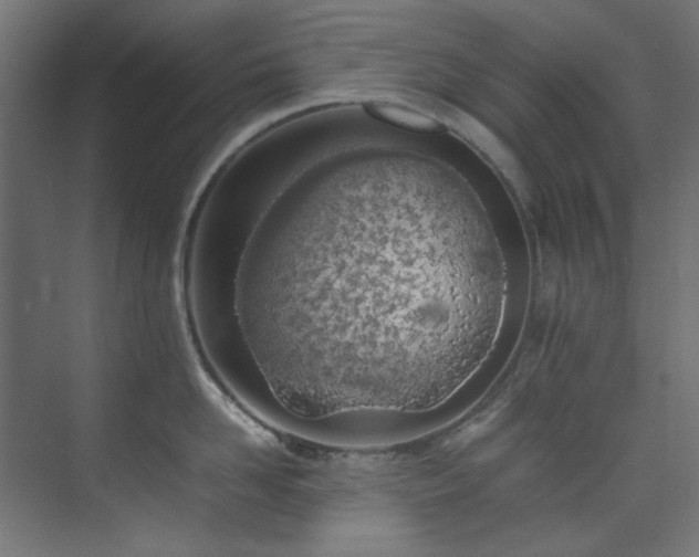 X0000074290958200608251341