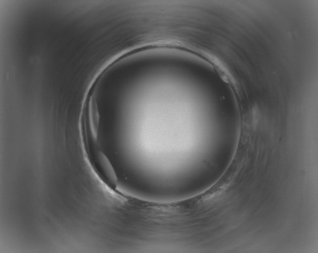 X0000074290959200608251341