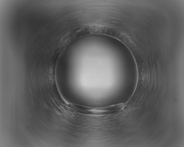 X0000074290964200608251340