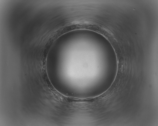 X0000074290966200608251340