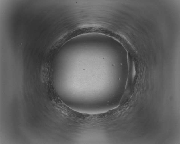 X0000074290967200608251340