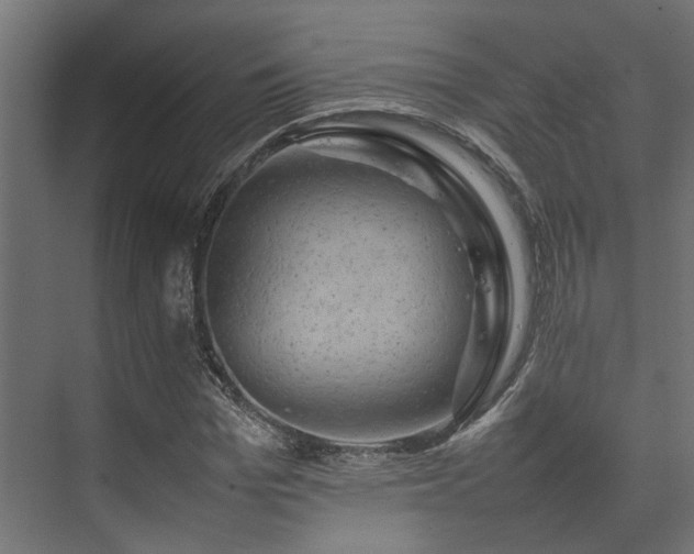 X0000074290969200608251340