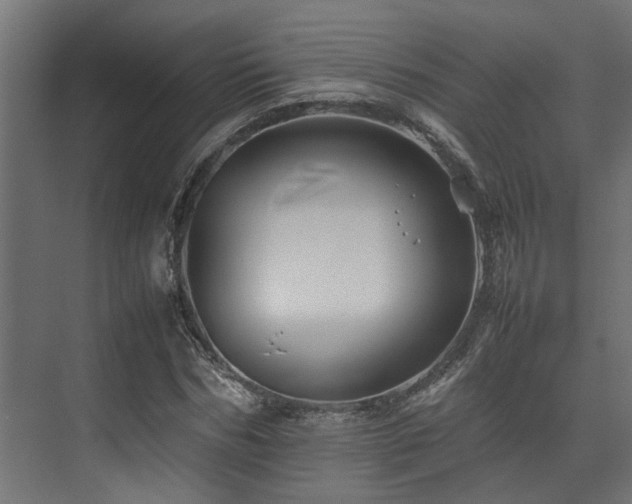 X0000074290970200608251340