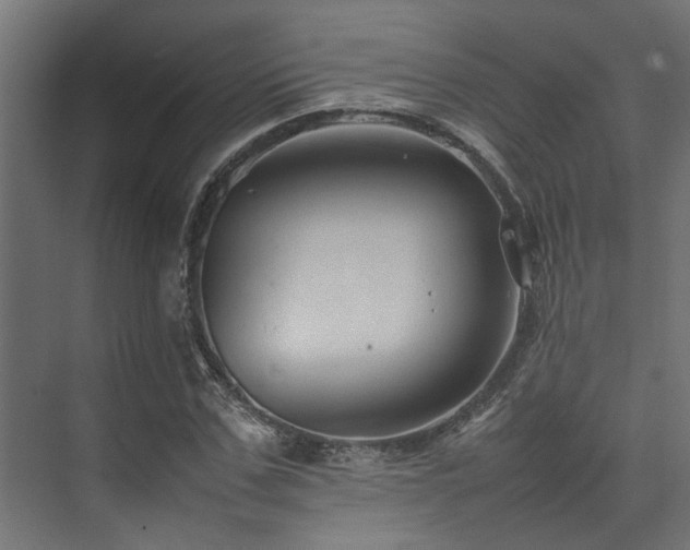 X0000074290971200608251340