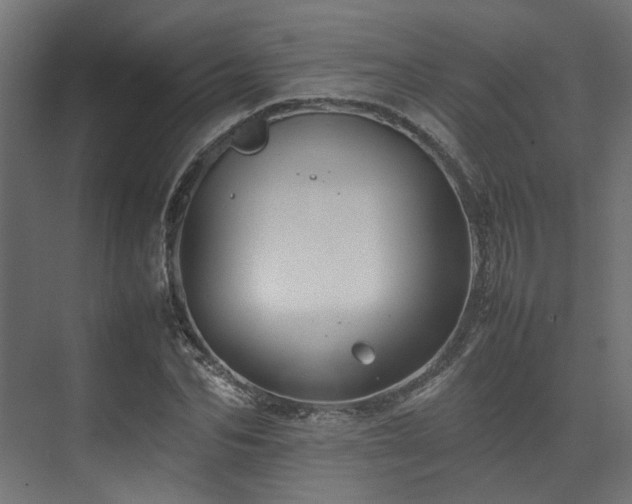 X0000074290974200608251340