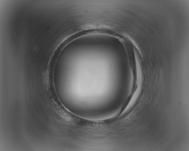 X0000074290975200608251340