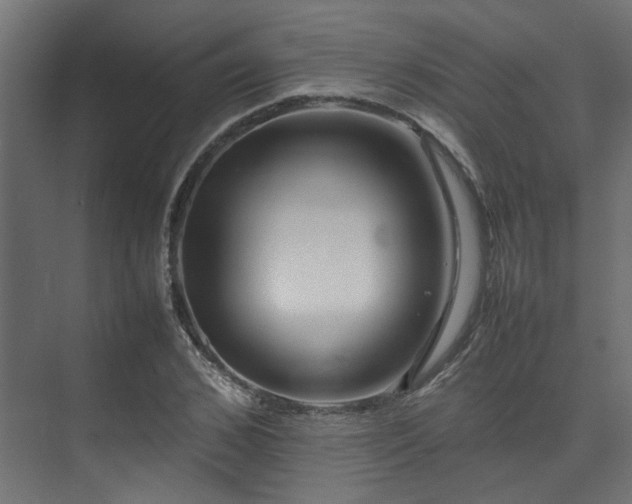 X0000074290976200608251340