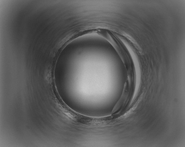 X0000074290977200608251340