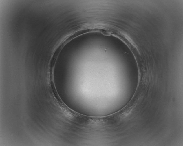 X0000074290978200608251340