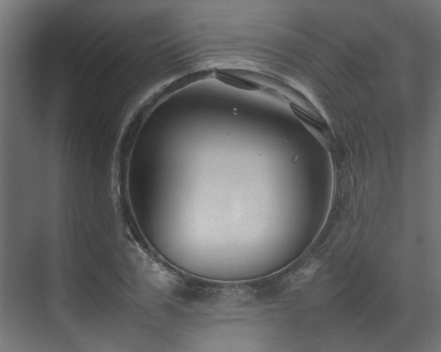 X0000074290979200608251340