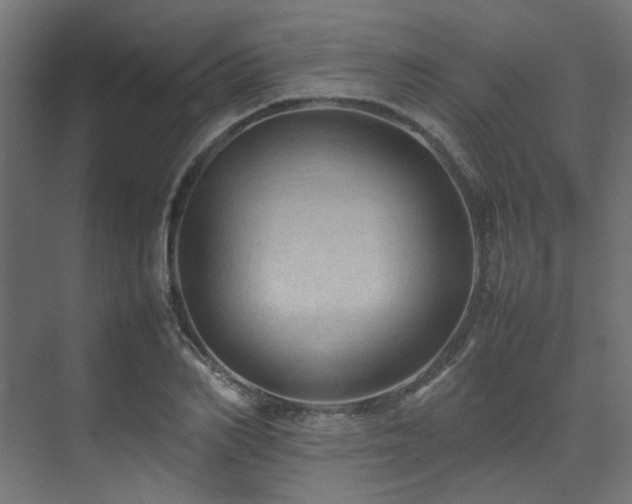 X0000074290982200608251340