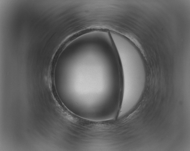 X0000074290984200608251340