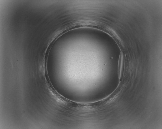 X0000074290986200608251340