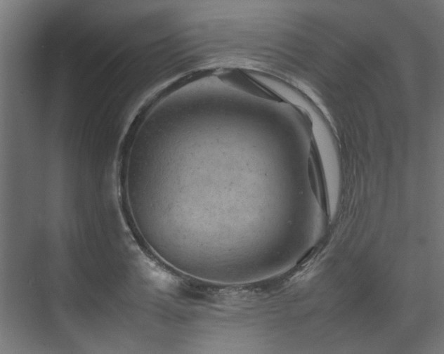 X0000074290987200608251340