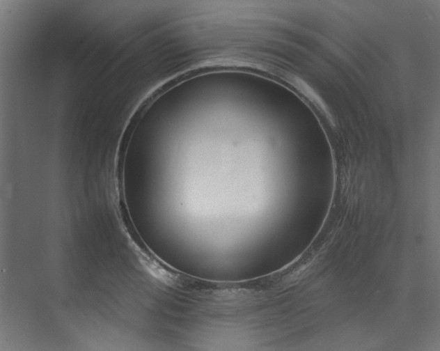 X0000074290988200608251340