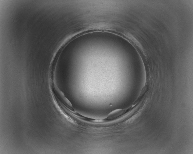 X0000074290989200608251340