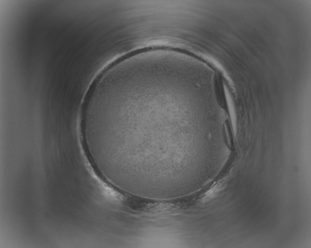 X0000074290991200608251340