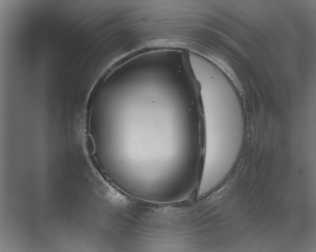 X0000074290992200608251340