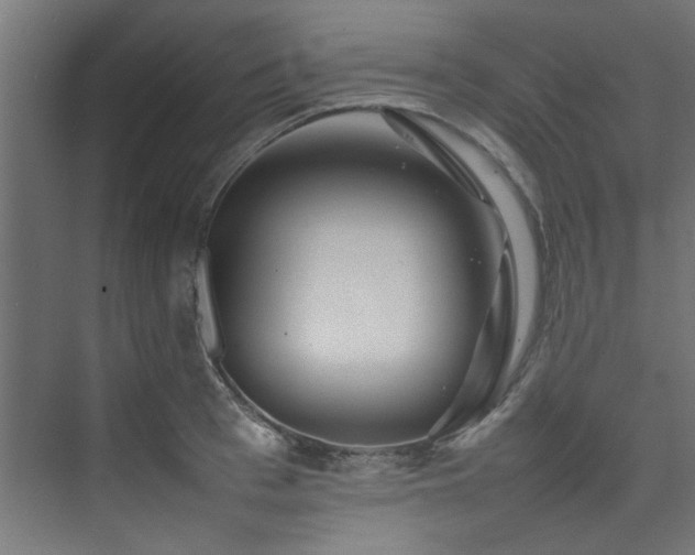 X0000074290993200608251339