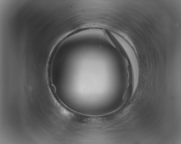 X0000074290995200608251339