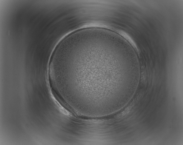 X0000074290996200608251339