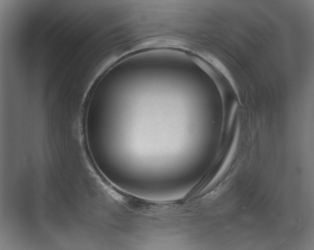 X0000074290997200608251339