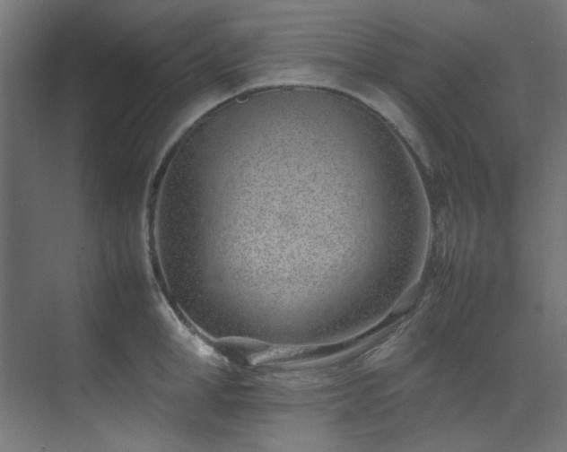 X0000074290998200608251339