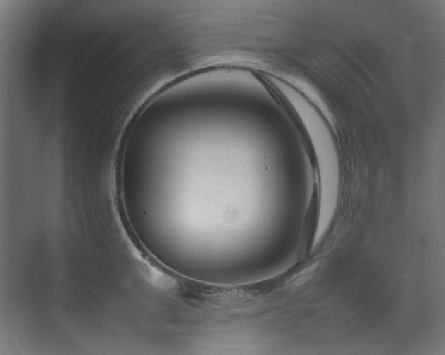 X0000074290999200608251339