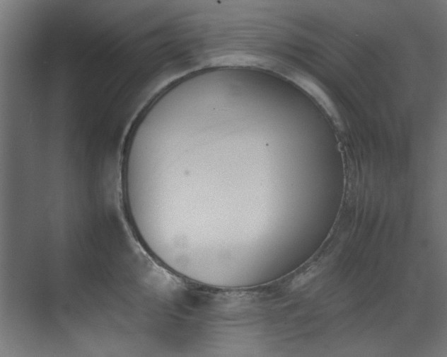 X0000074291000200608251339