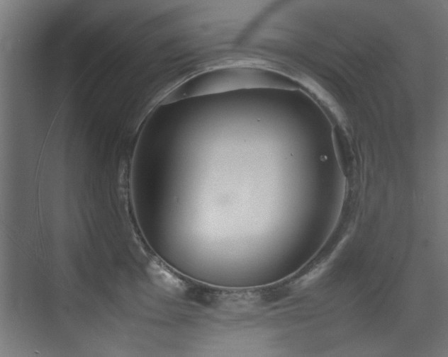 X0000074291001200608251339