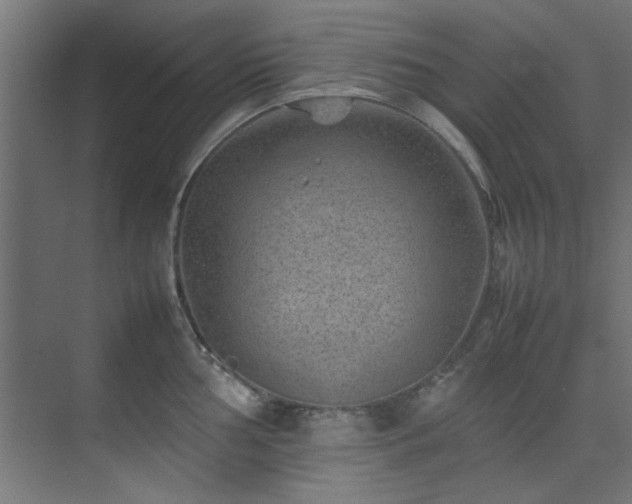 X0000074291002200608251339