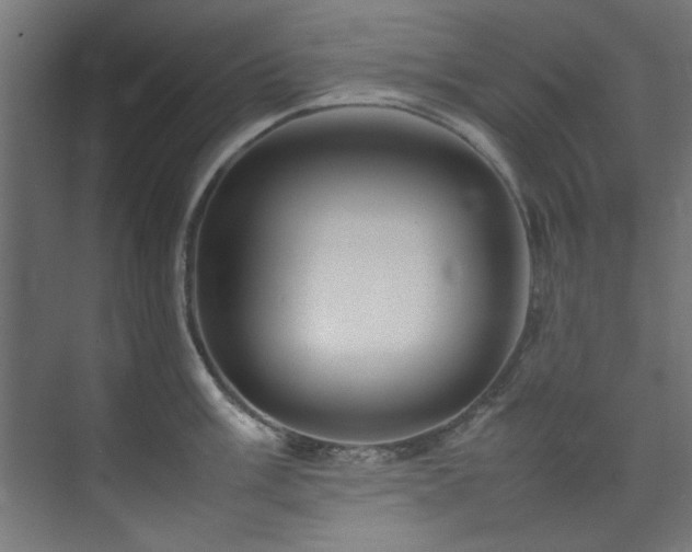 X0000074291003200608251339