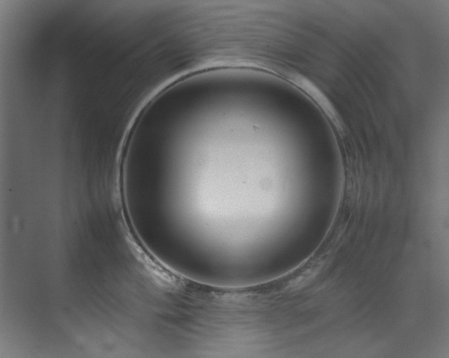 X0000074291004200608251339