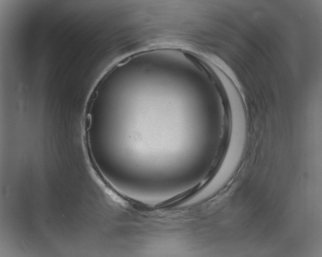 X0000074291005200608251339