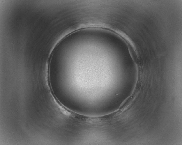 X0000074291006200608251339