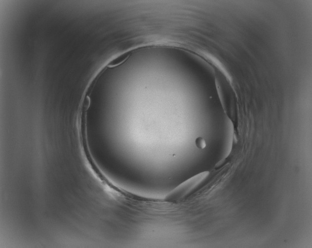 X0000074291007200608251339