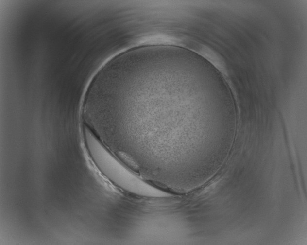 X0000074291008200608251339