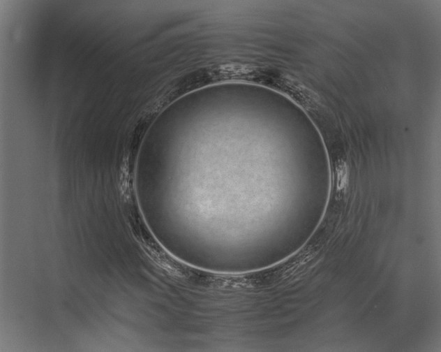 X0000074291011200608251338