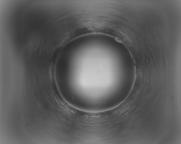 X0000074291012200608251338