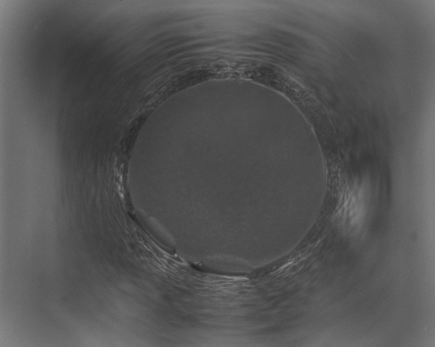 X0000074291013200608251339