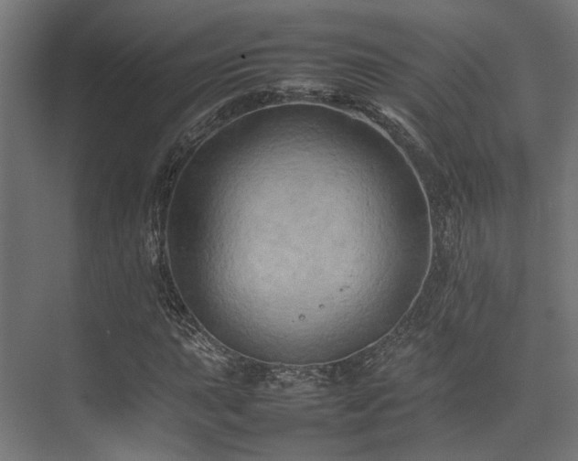 X0000074291015200608251339