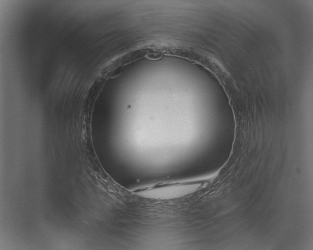 X0000074291016200608251339