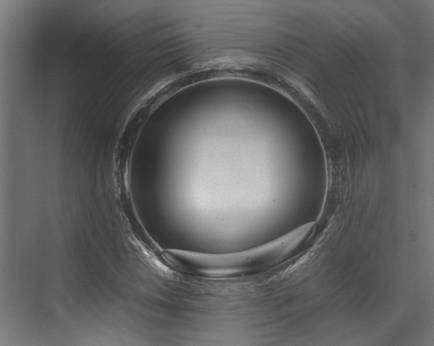 X0000074291018200608251339